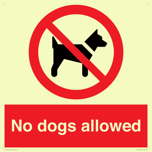No dogs allowed